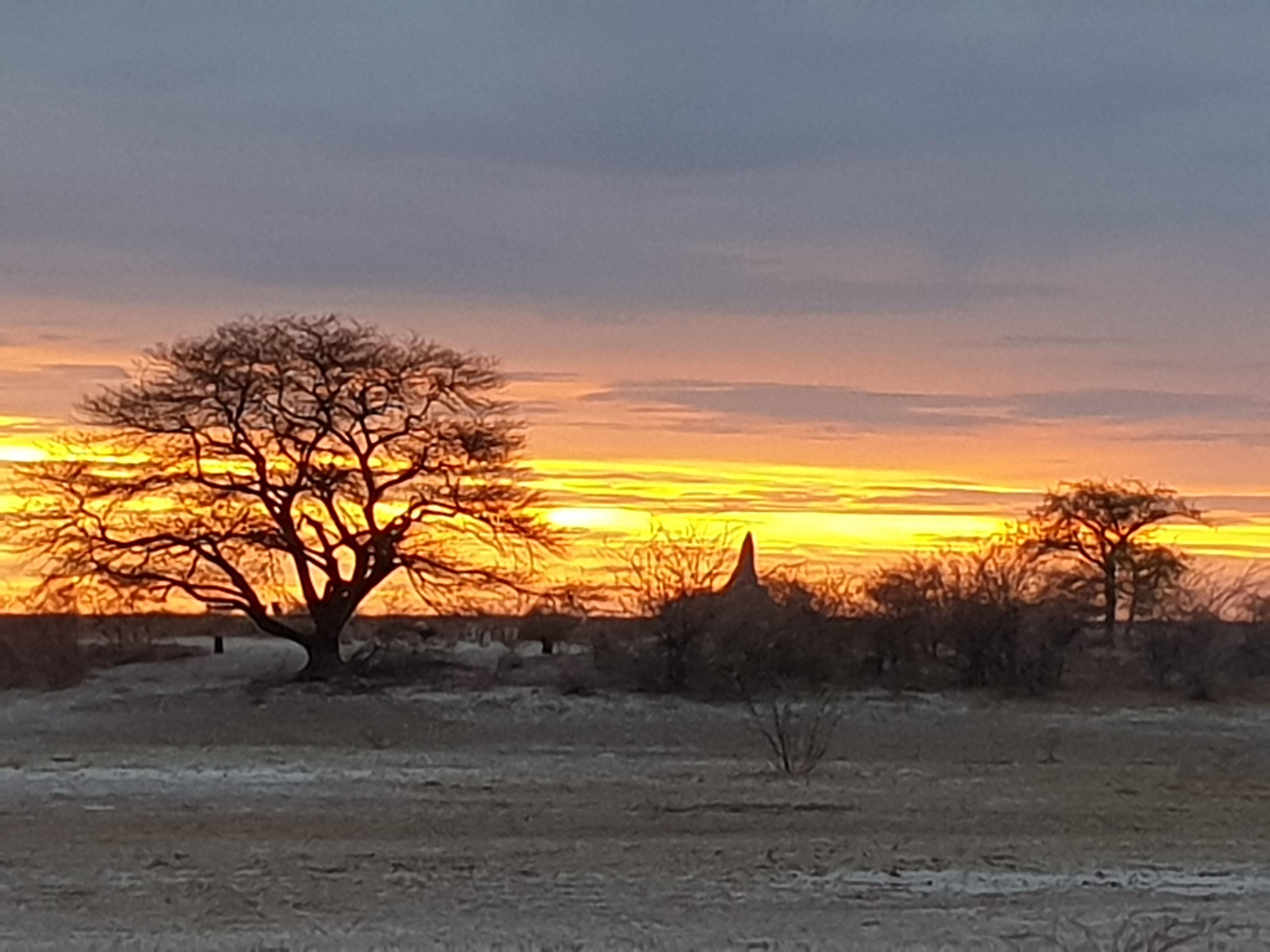 Coucher de soleil profilant une grande termitière dans l'Onguma Nature Reserve , Etosha, Namibie.